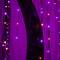 7ft. Pre-Lit Artificial Halloween Black Willow Tree with 600 Purple and Orange Dual Color LED Lights